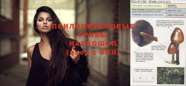крисы Чегем