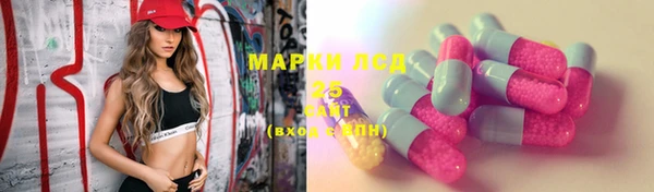 прущий лед Шали