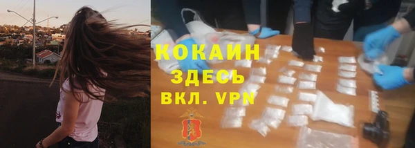 крисы Чегем