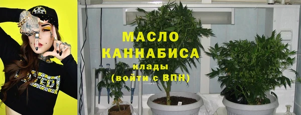 крисы Чегем