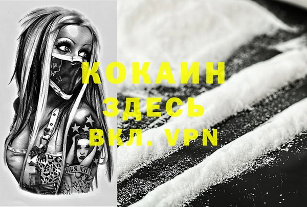 крисы Чегем