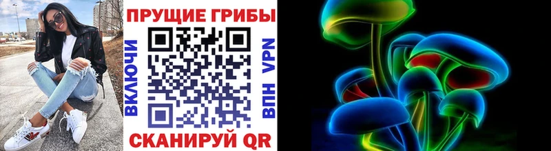 Галлюциногенные грибы прущие грибы  Купить  Катайск 
